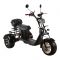 Электроскутер трехколесный CityCoco SkyBoard Trike BR60-3000 PRO