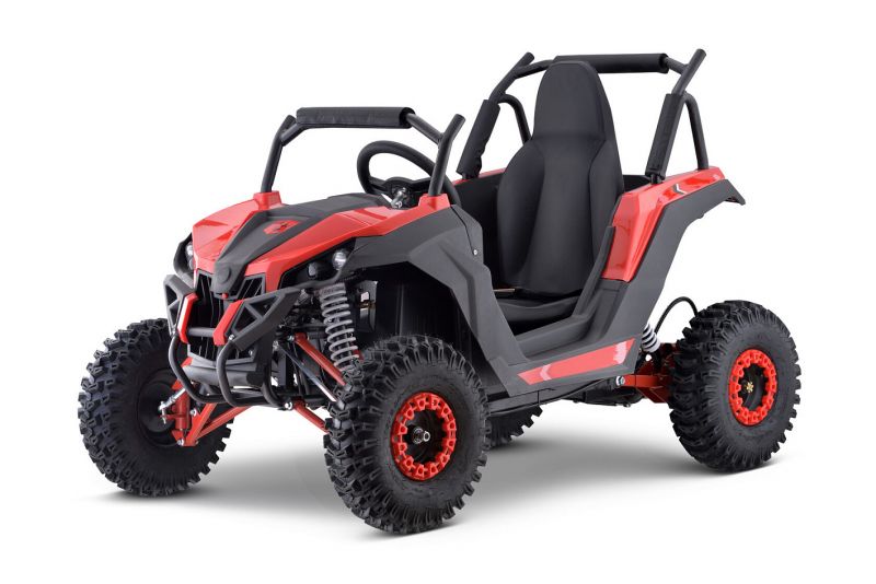 Багги SCANMOTO Cobra Багги SCANMOTO Cobra